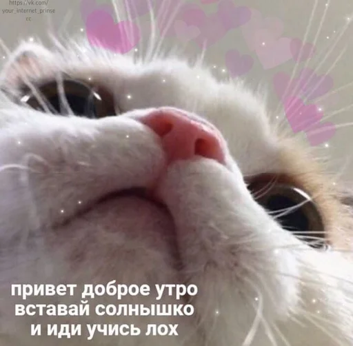 Эмодзи Cvcv