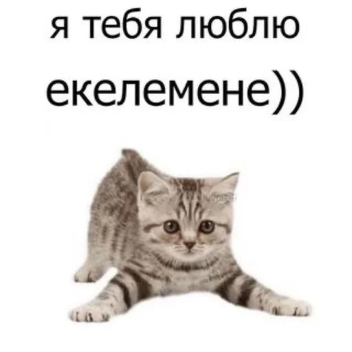 Эмодзи Cvcv