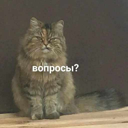 Эмодзи Cvcv