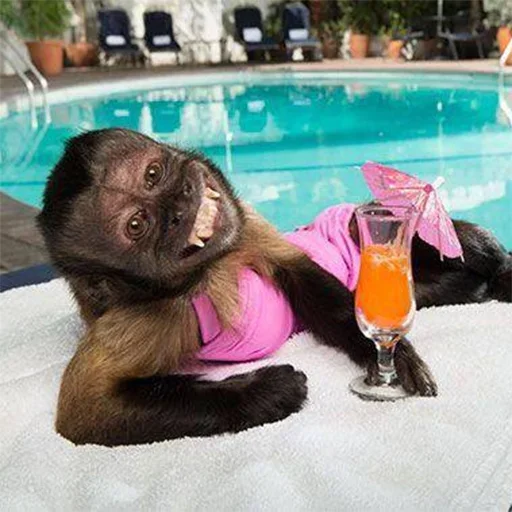 Эмодзи Monkeys