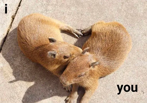 ❤️