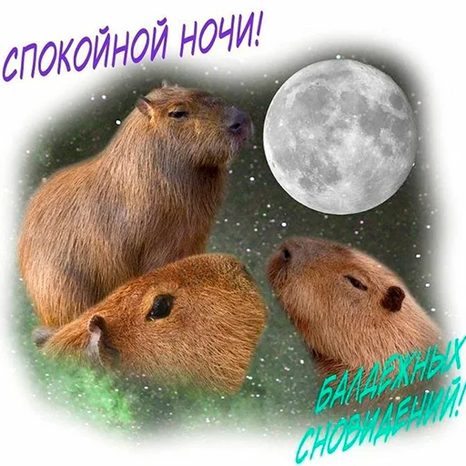 Эмодзи Capybara's world