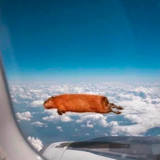 Эмодзи Capybara's world