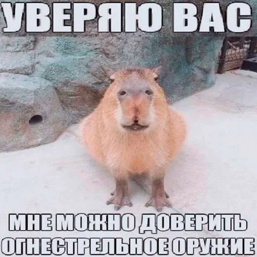 Эмодзи Capybara's world