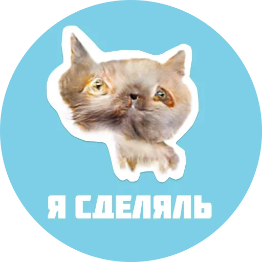 Эмодзи CreepyCats