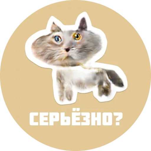 Эмодзи CreepyCats