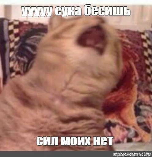 Эмодзи Crying cats v. 2