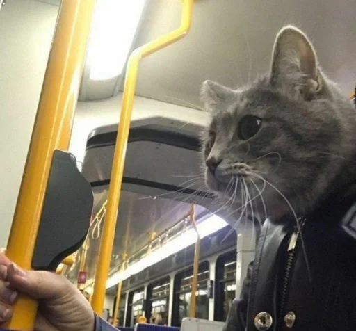 Эмодзи Crying cats v. 2