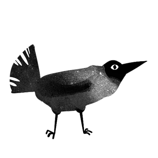 🐦‍⬛