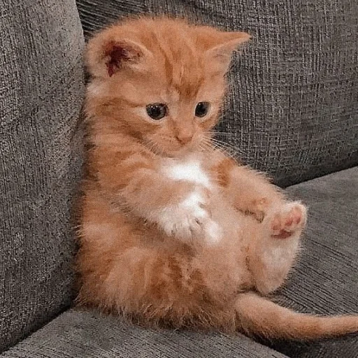?