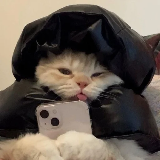 Эмодзи Cats