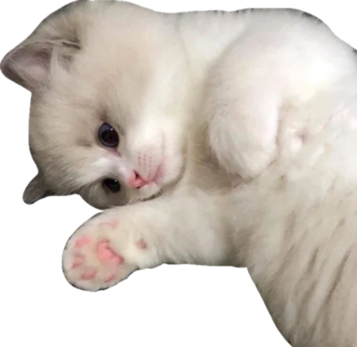?