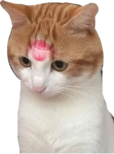 Эмодзи Cute_vol.3