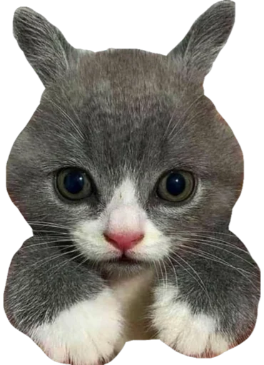 Эмодзи Cute_vol.3