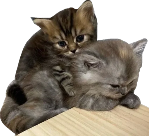 Эмодзи Cute_vol.3