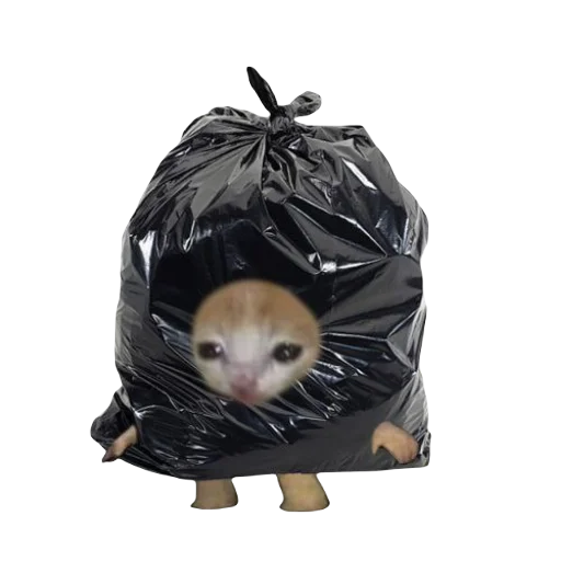 Эмодзи Catzzz!