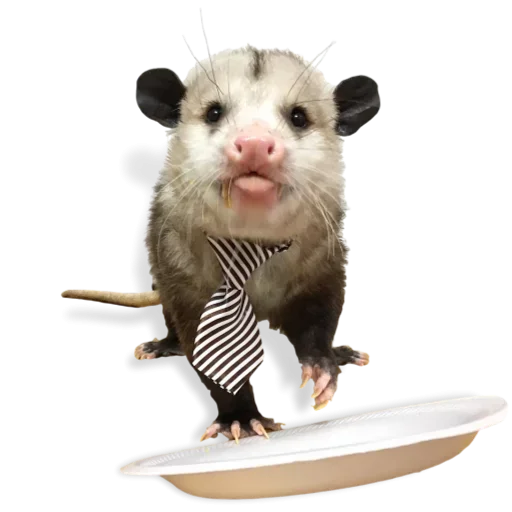 Эмодзи Cute Opossum