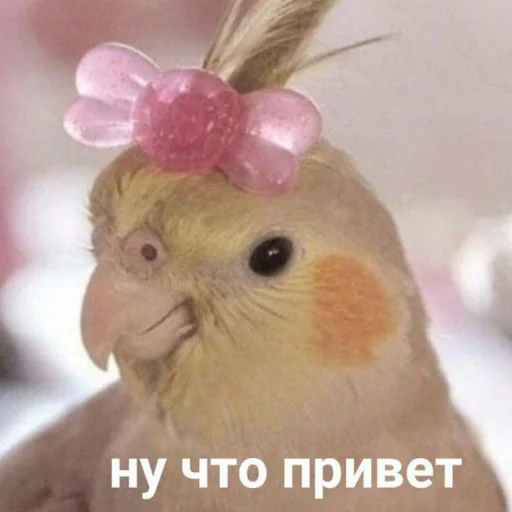 🦜