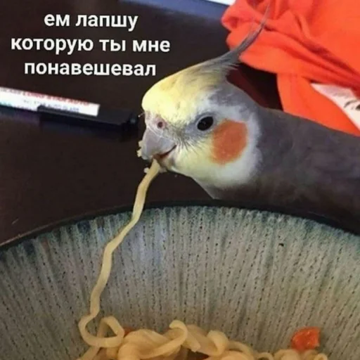 Эмодзи Cute Parrots Meme