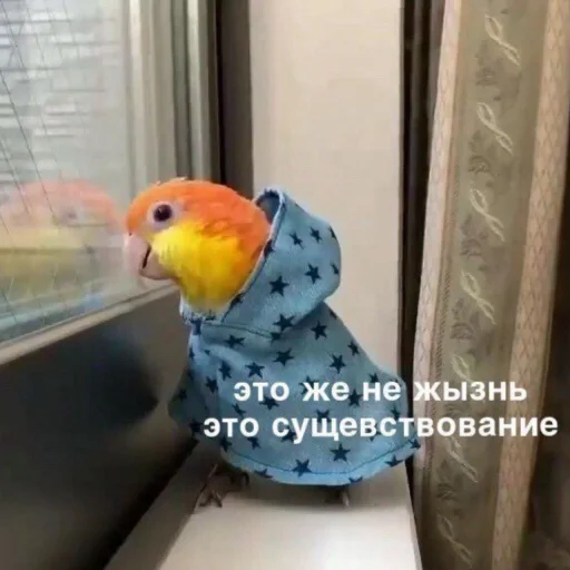 Эмодзи Cute Parrots Meme