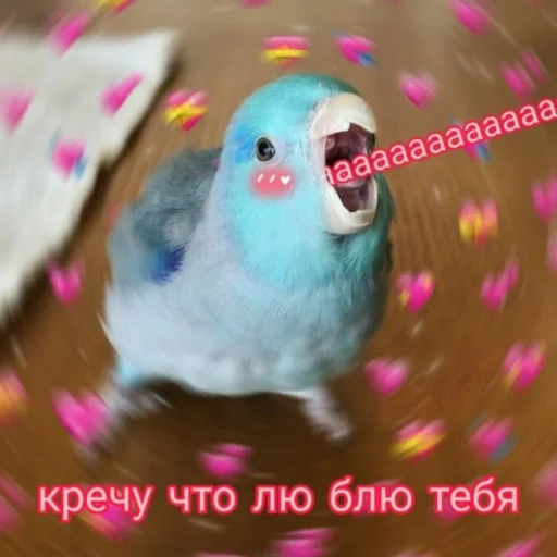 Эмодзи Cute Parrots Meme