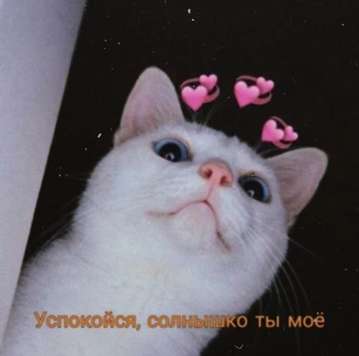 Эмодзи ⚞ᴥ⚟