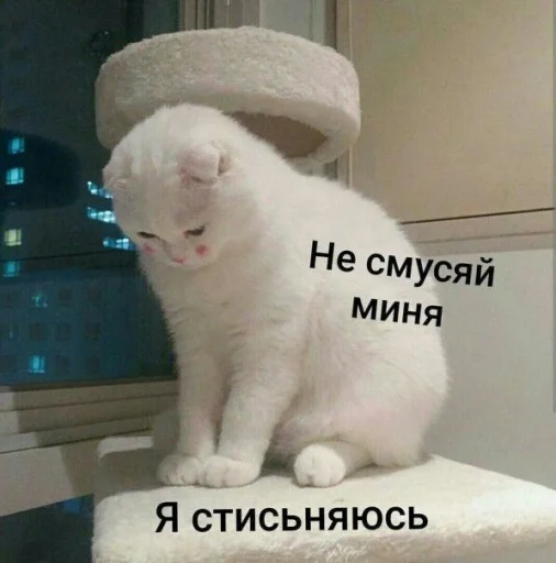 Эмодзи ⚞ᴥ⚟