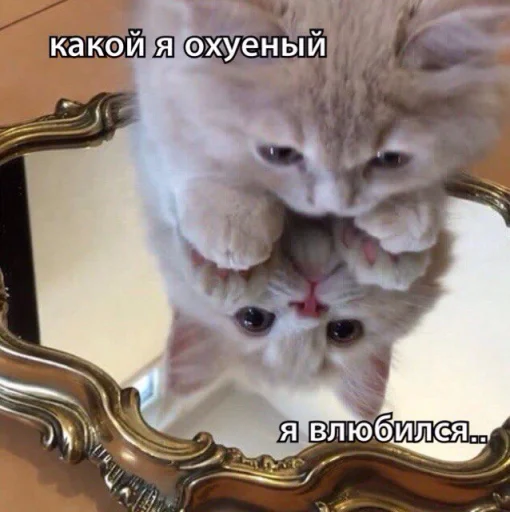 Эмодзи ⚞ᴥ⚟