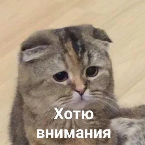 Эмодзи ⚞ᴥ⚟