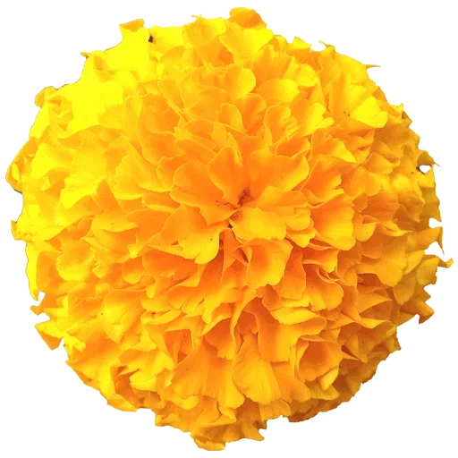 Эмодзи Flowers for you
