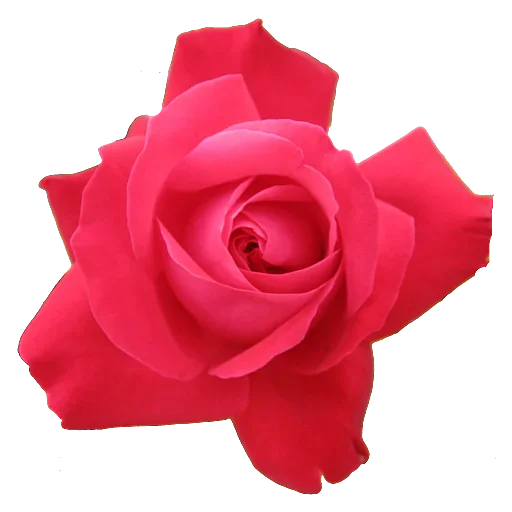 Эмодзи Flowers for you