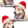 Эмодзи DDDoges