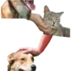 Эмодзи DDDoges