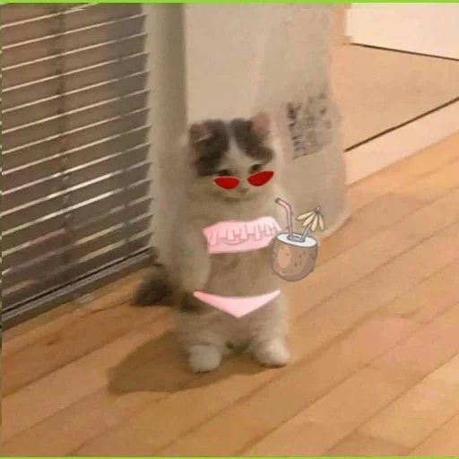 Эмодзи DARLING