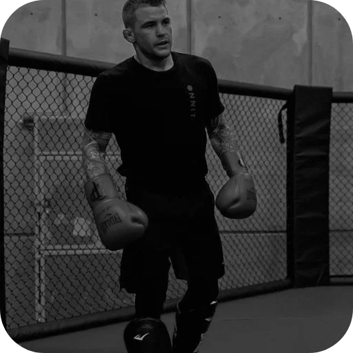 Эмодзи Dustin Poirier