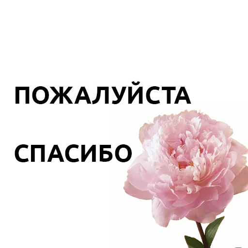 Эмодзи Давайте Общаться Стикерами