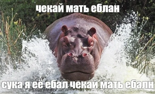 Эмодзи дындра