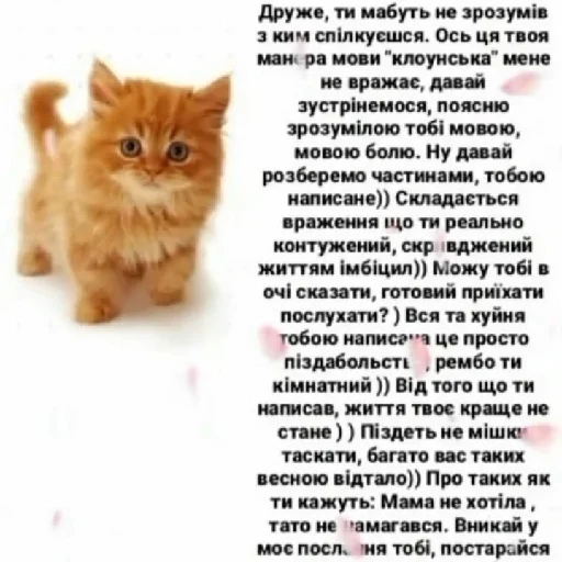 Эмодзи Життєво -_-