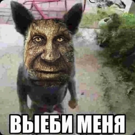 Эмодзи Лол кек чебурек