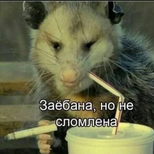 Эмодзи Лол кек чебурек