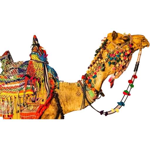 Эмодзи Camels ਬੋਤੇ