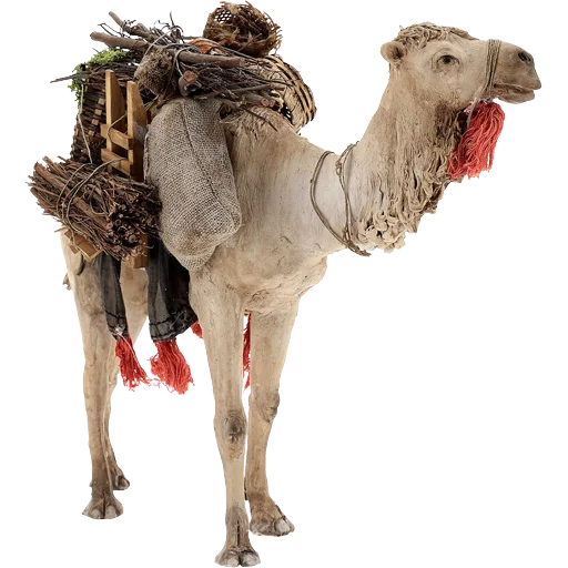 Эмодзи Camels ਬੋਤੇ