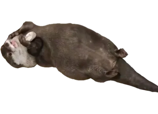 Эмодзи Devilovee