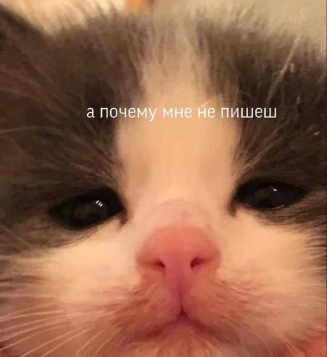 ?