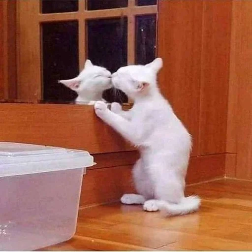 Эмодзи Cats