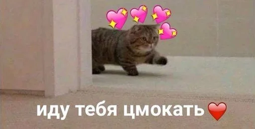 Эмодзи Cats