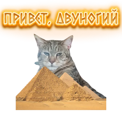 Эмодзи DIXIEEE
