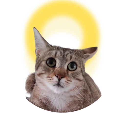 Эмодзи DIXIEEE