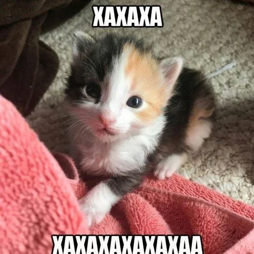 ?