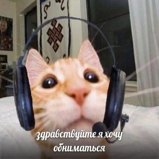 Эмодзи Дмитрий ☑️
